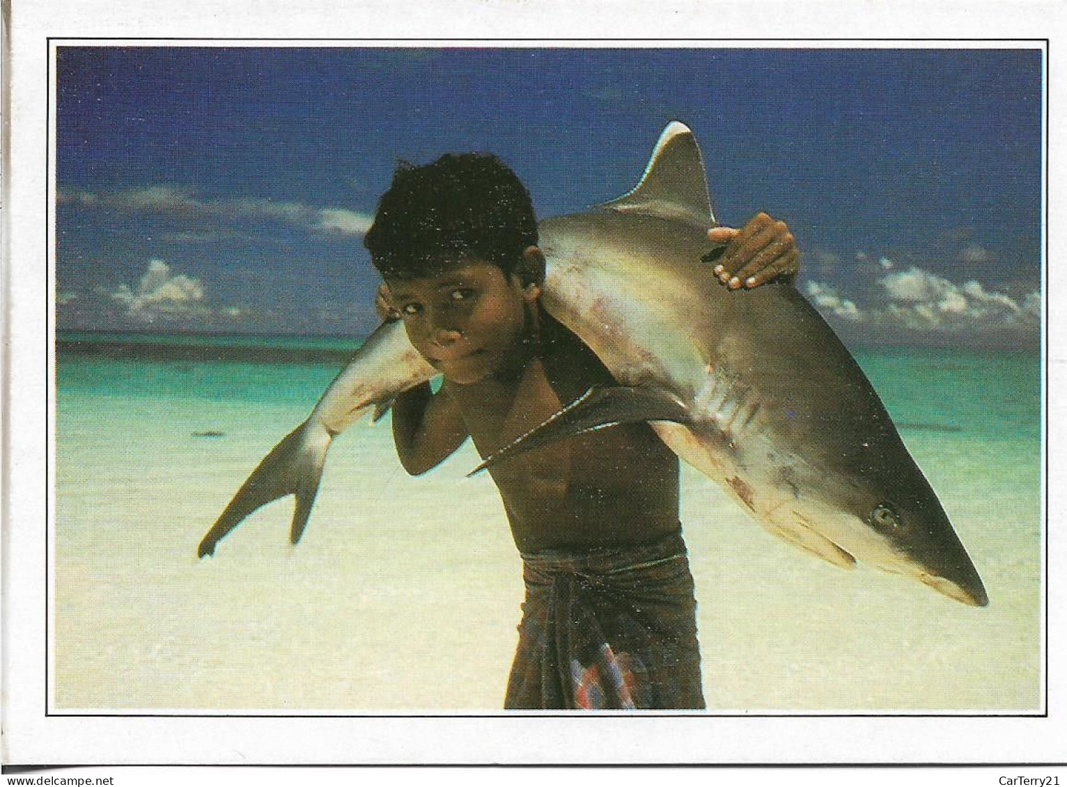 CPM. MALDIVES. JEUNE PÊCHEUR TRANSPORTANT UN REQUIN A POINTE BLANCHE. - Maldives