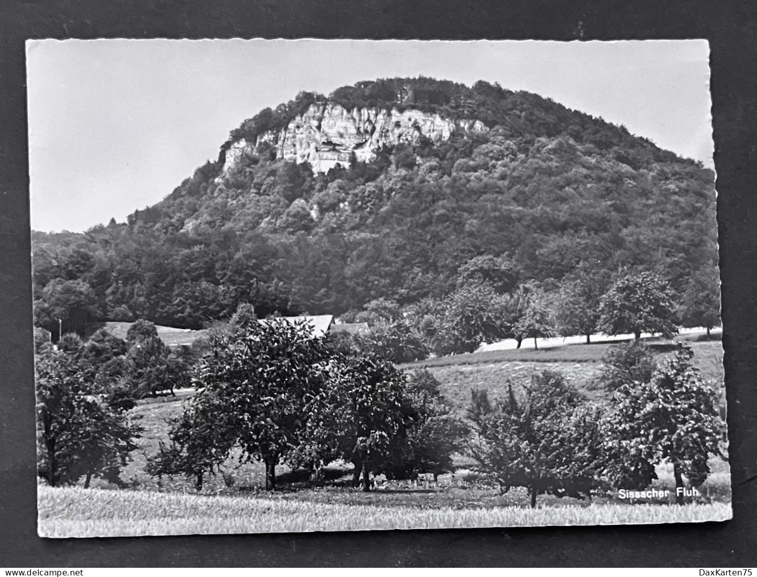 Sissacher-Fluh - Sissach