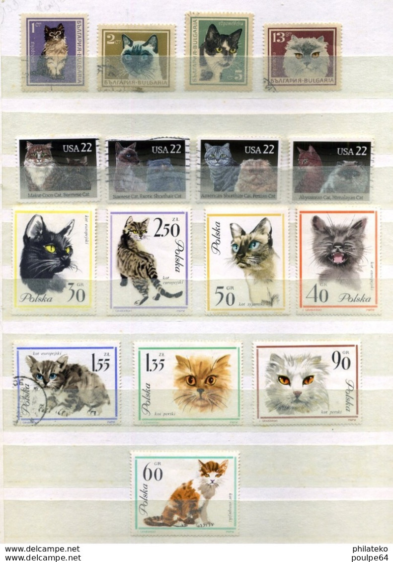 77 Timbres Oblitérés De Chats - Chats Domestiques