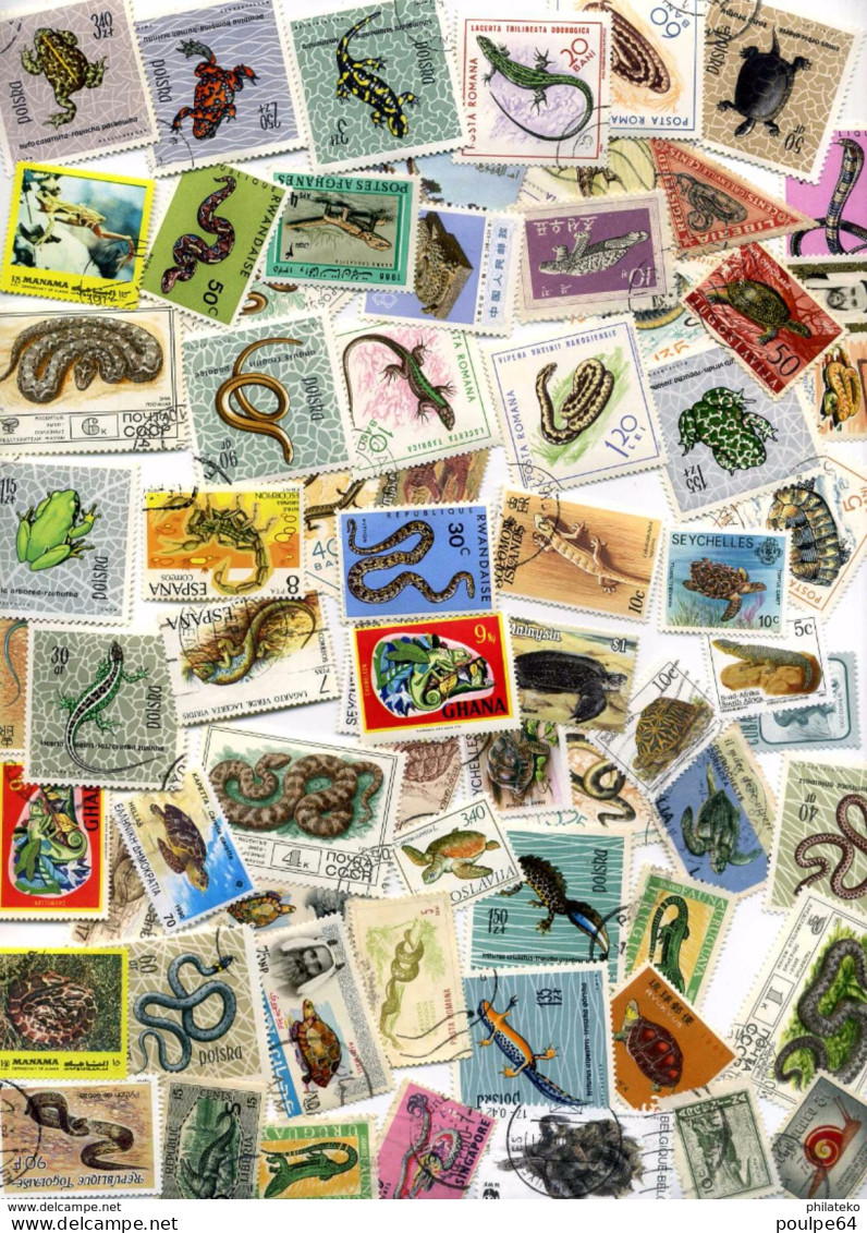 67 Timbres Serpents - Tortues - Batraciens - Etc ... (Pays Divers) - Serpents