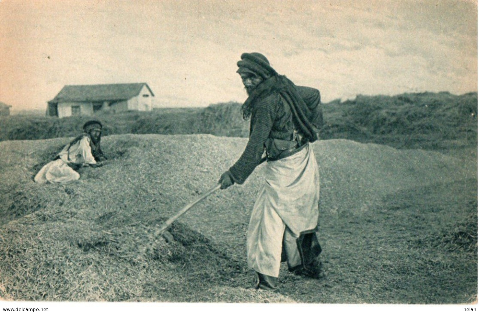 PALESTINA - SORTING HIS WHEAT - Palestine