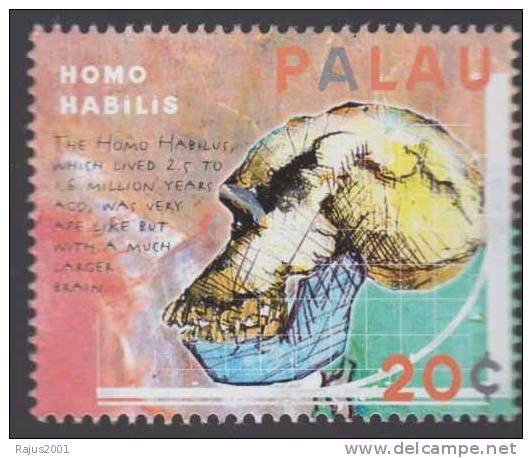 Homo Habilis, Skull, Archaeology, Graph Chart, MNH Palau - Archéologie