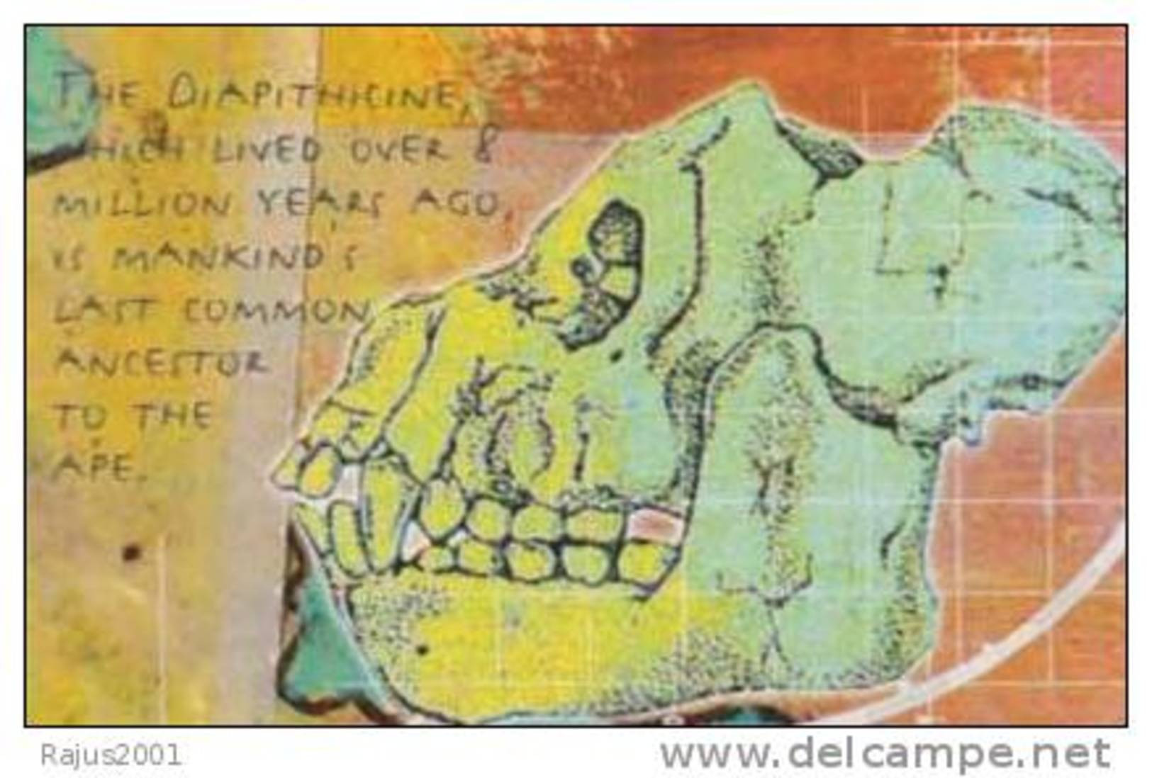 The Diapithicine, Skull, Archaeology, Graph, Chart MNH Palau - Archéologie