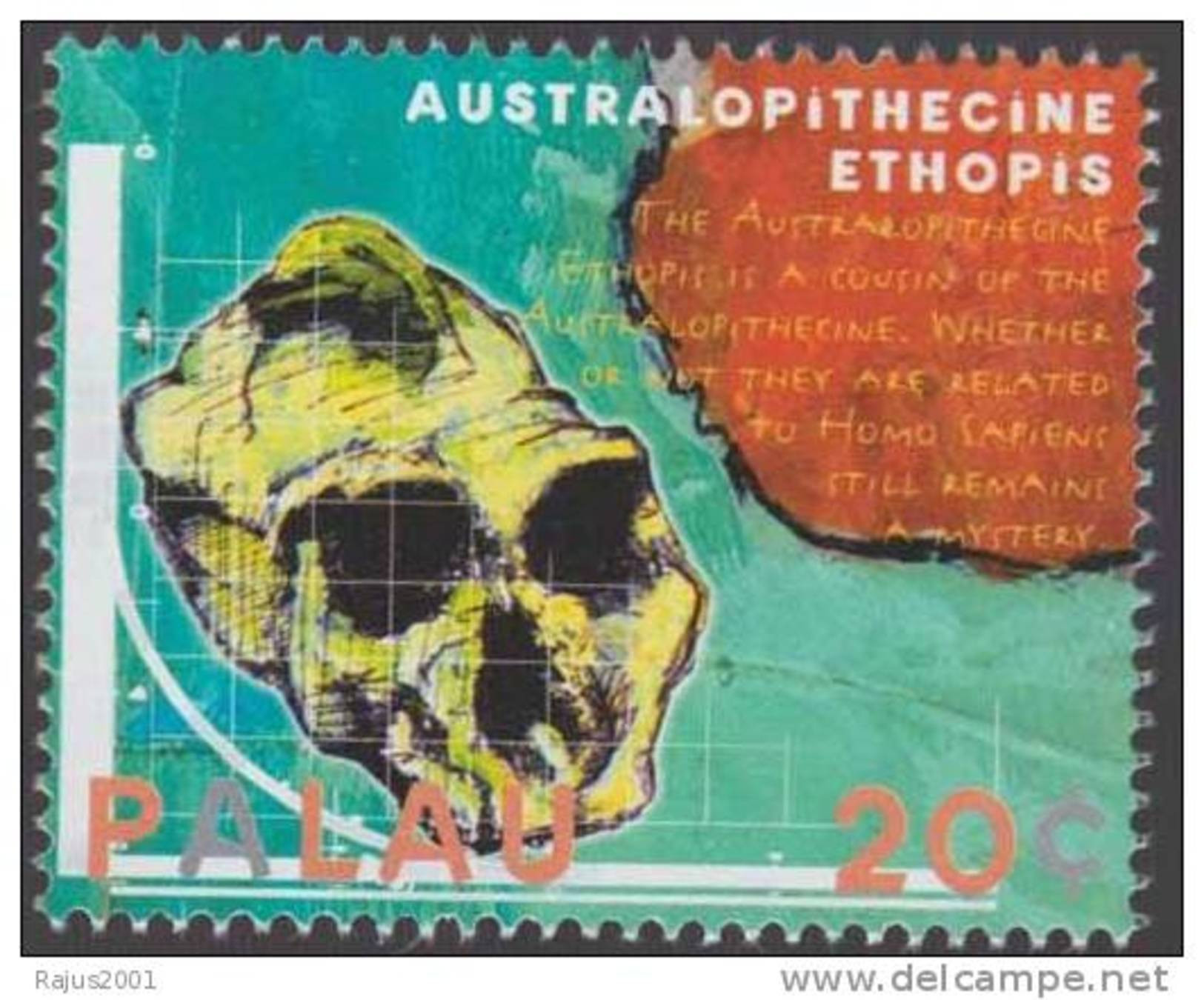 Australopithecine, Australopithecina, Ethopis, Skull, Archaeology, Graph, Chart, Earlier Ardipithecus, MNH Palau - Archéologie