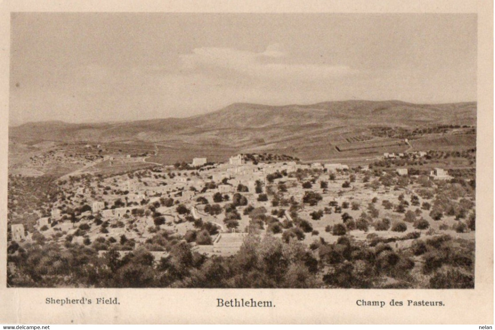 BETHLEHEM - SHEPHERD S FIELD - Palestine