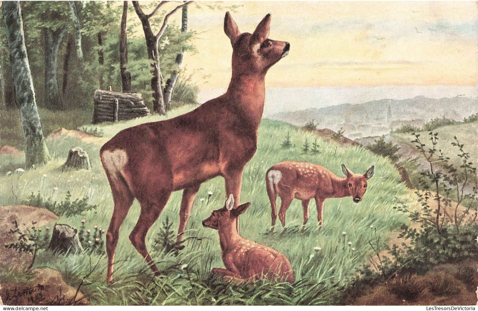 ARTS - Peintures Et Tableaux - Une Biche Et Ses Faons - Carte Postale Ancienne - Malerei & Gemälde