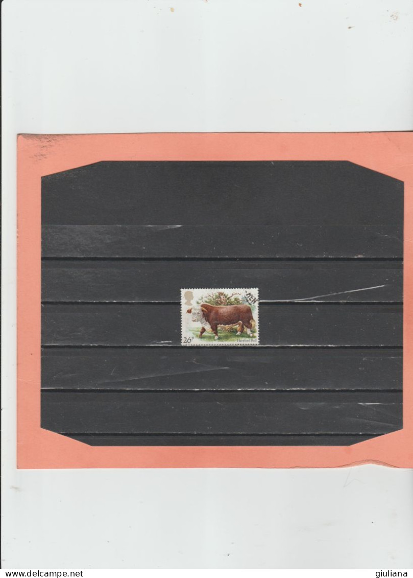 G.B. 1984 - (UN) 1119 Used  "Razze Bovine" - 26p  Toro Hereford - Vaches