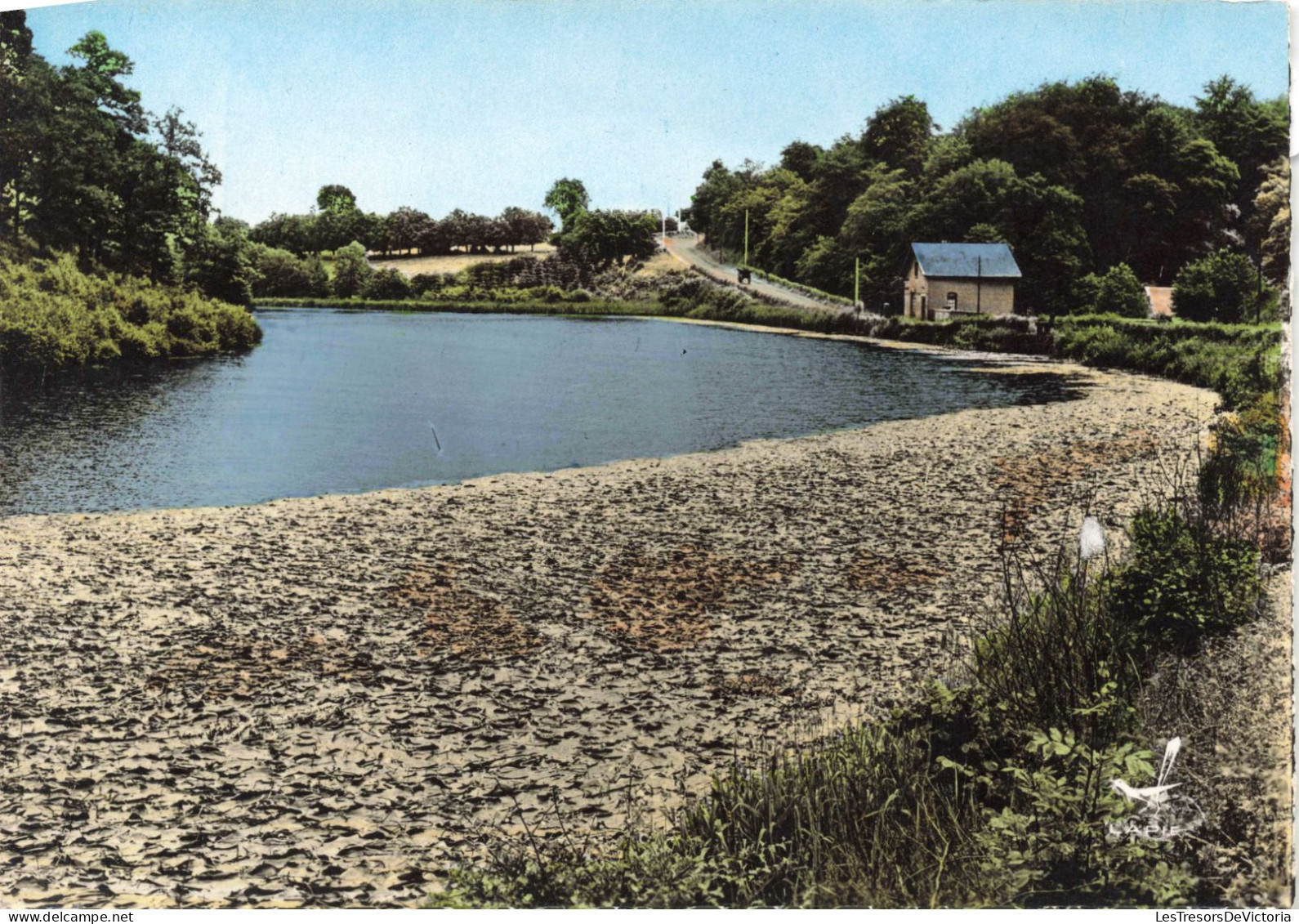 FRANCE - Solre-le-Château - Étang Des Borzies - Colorisé - Carte Postale Ancienne - Solre Le Chateau