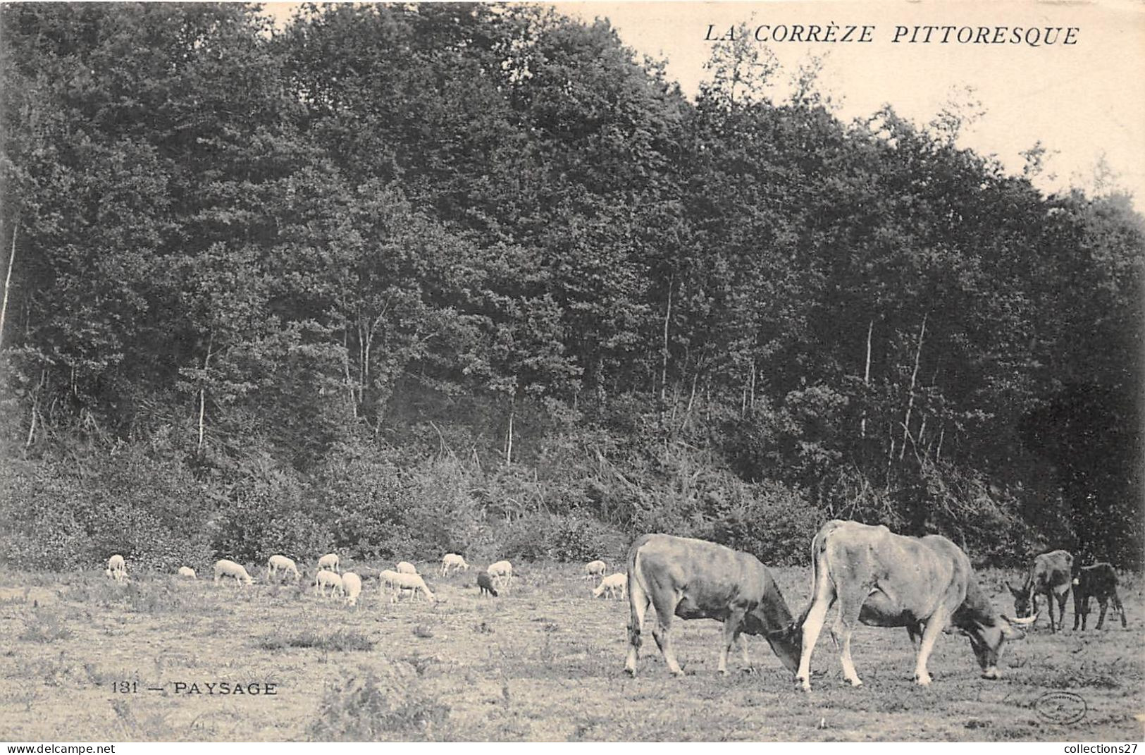 LOT- DE 1000 CARTES POSTALES ANCIENNES FRANCE -DROUILLE ( QUELQUES EXEMPLES ) - 500 Postcards Min.