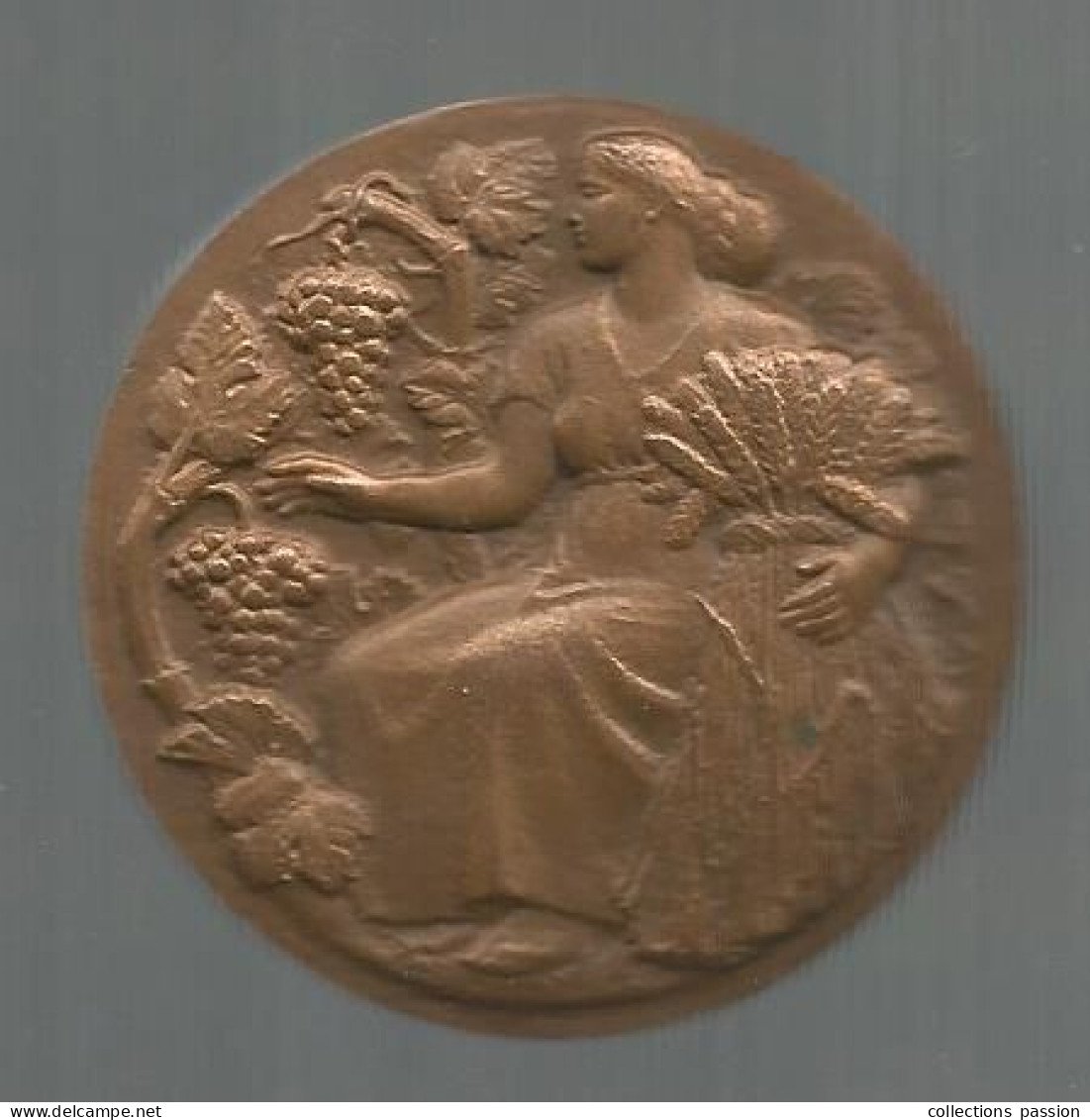 Médaille, Bronze, Signée HM PETIT, République Française, Ministère De L'agriculture, Associations Agricoles, Frais Fr 4e - Profesionales / De Sociedad