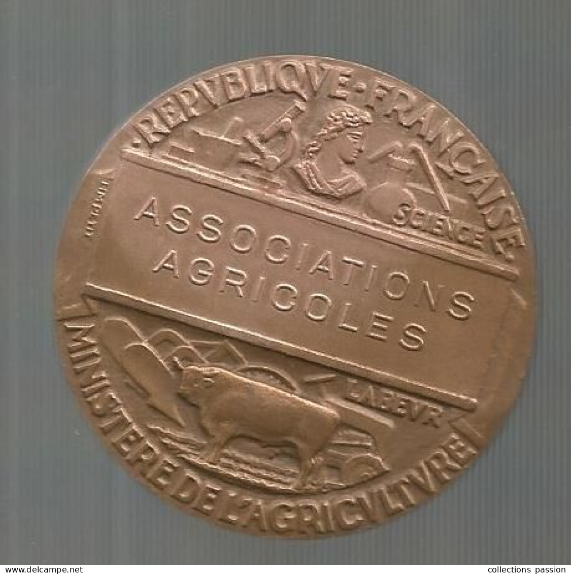 Médaille, Bronze, Signée HM PETIT, République Française, Ministère De L'agriculture, Associations Agricoles, Frais Fr 4e - Professionals / Firms