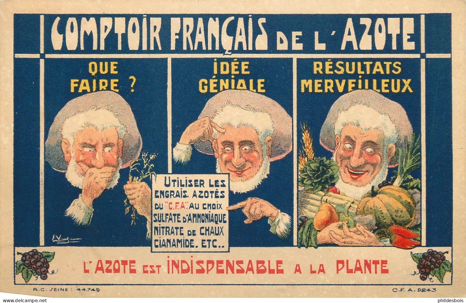 Carte PUBLICITAIRE   Comptoir Français De L'Azote - Publicité