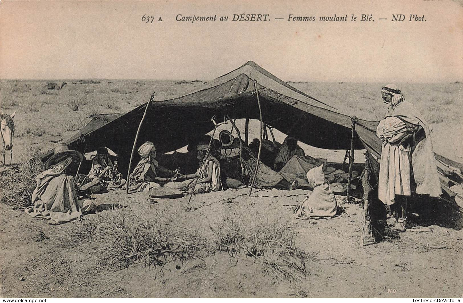 PHOTOGRAPHIE - Campement Au Désert - Femmes Moulant Le Blé - Carte Postale Ancienne - Photographie