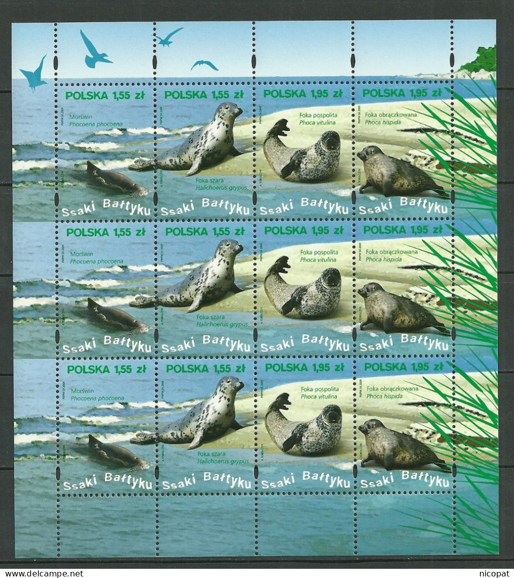 POLAND MNH ** 4161-4164 En Feuille FAUNE MAMMIFERES MARINS DE LA MER BALTIQUE. MARSOUIN PHOQUE - Volledige Vellen