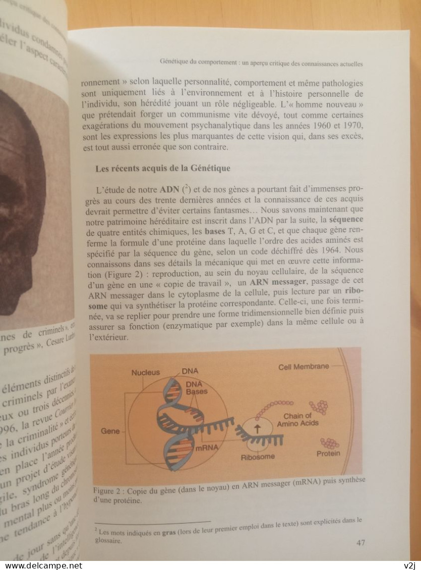 Regards pluriels enfant singulier. Quelle place à l'école pour l'enfant de la modernité?