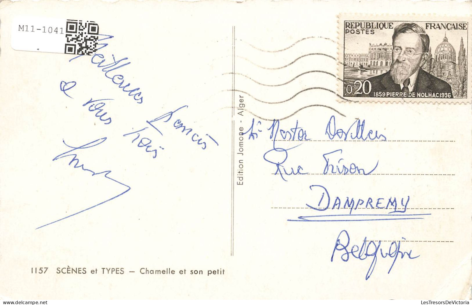 PHOTOGRAPHIE - Des Dromadaires - Colorisé - Carte Postale Ancienne - Fotografie