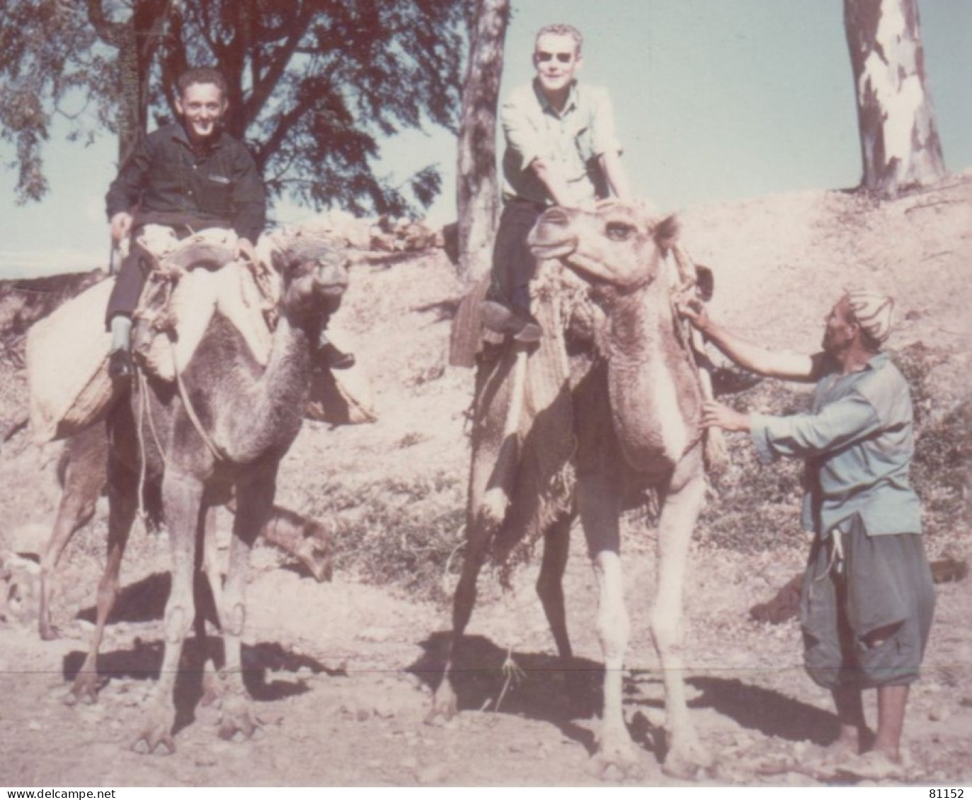 Militaria   4 Photos   De Militaires  Dim 90x130  Venant D'un Album  D' AVIATION  En  AFRIQUE DU NORD  De 1957 à 1959 - Aviation