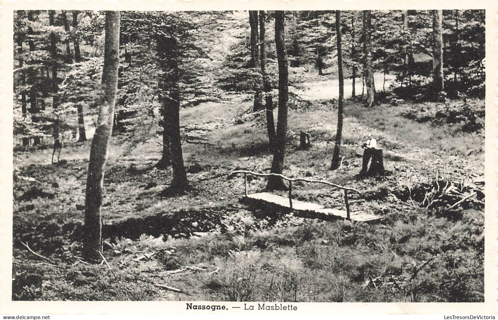 BELGIQUE - Luxembourg - Nassogne - La Masblette - Carte Postale Ancienne - Nassogne