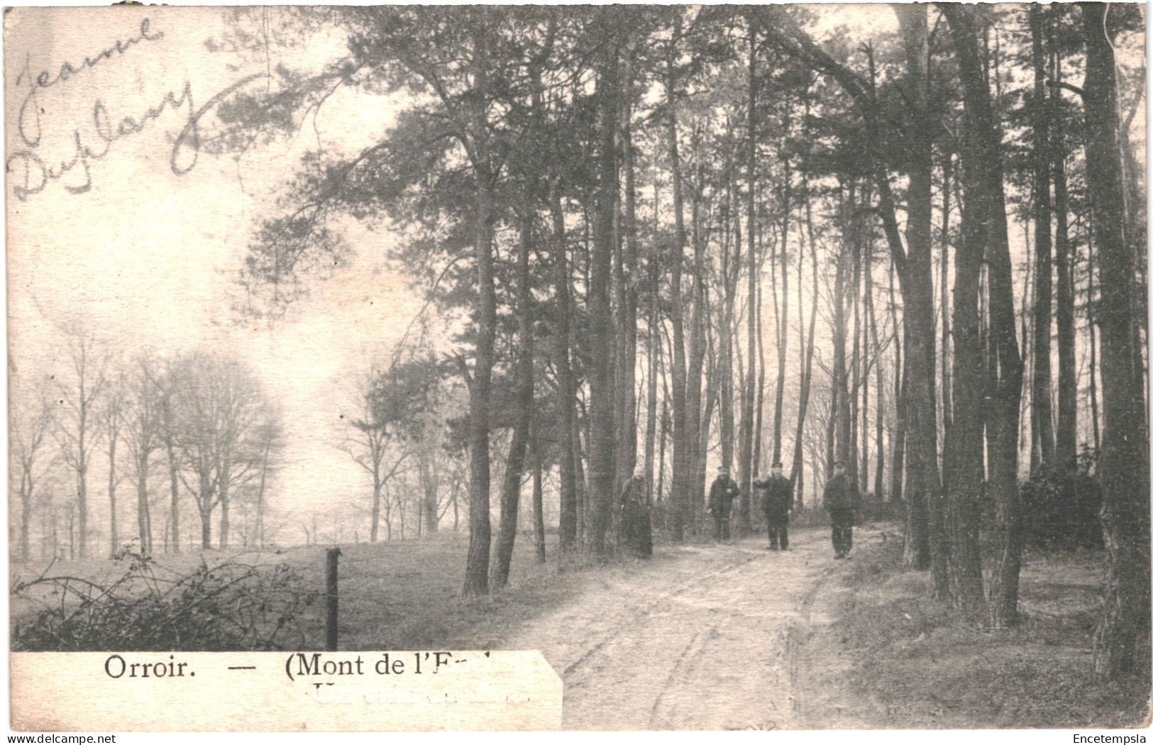 Carte Postale - Belgique  Orroir Mont De L'Enclus Un Coin Du Bois 1910 VM72133 - Kluisbergen