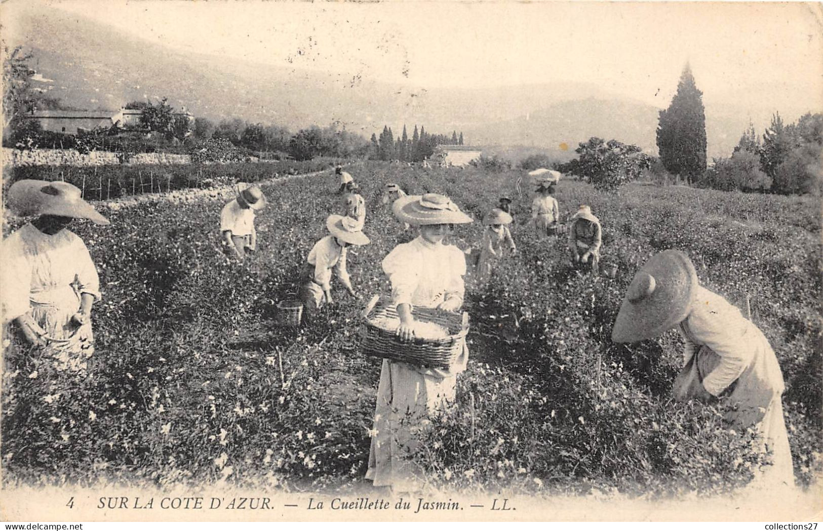 SUR LA CÔTE D'AZUR- LA CUEILLETTE DU JASMIN - Artesanal