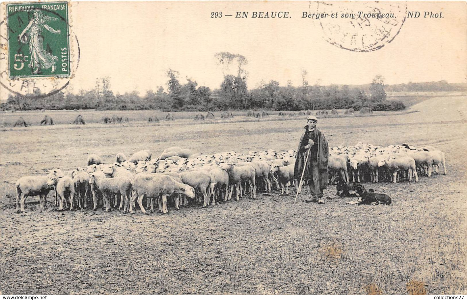 EN BEAUCE- BERGER ET SON TROUPEAU - Viehzucht