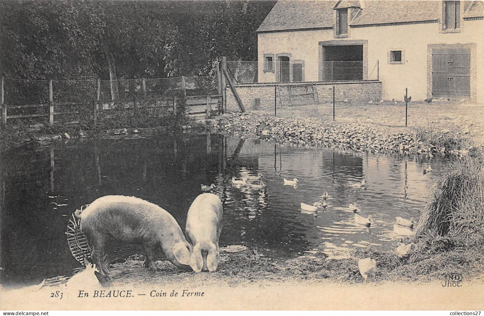 EN BEAUCE- COIN DE FERME - Boerderijen