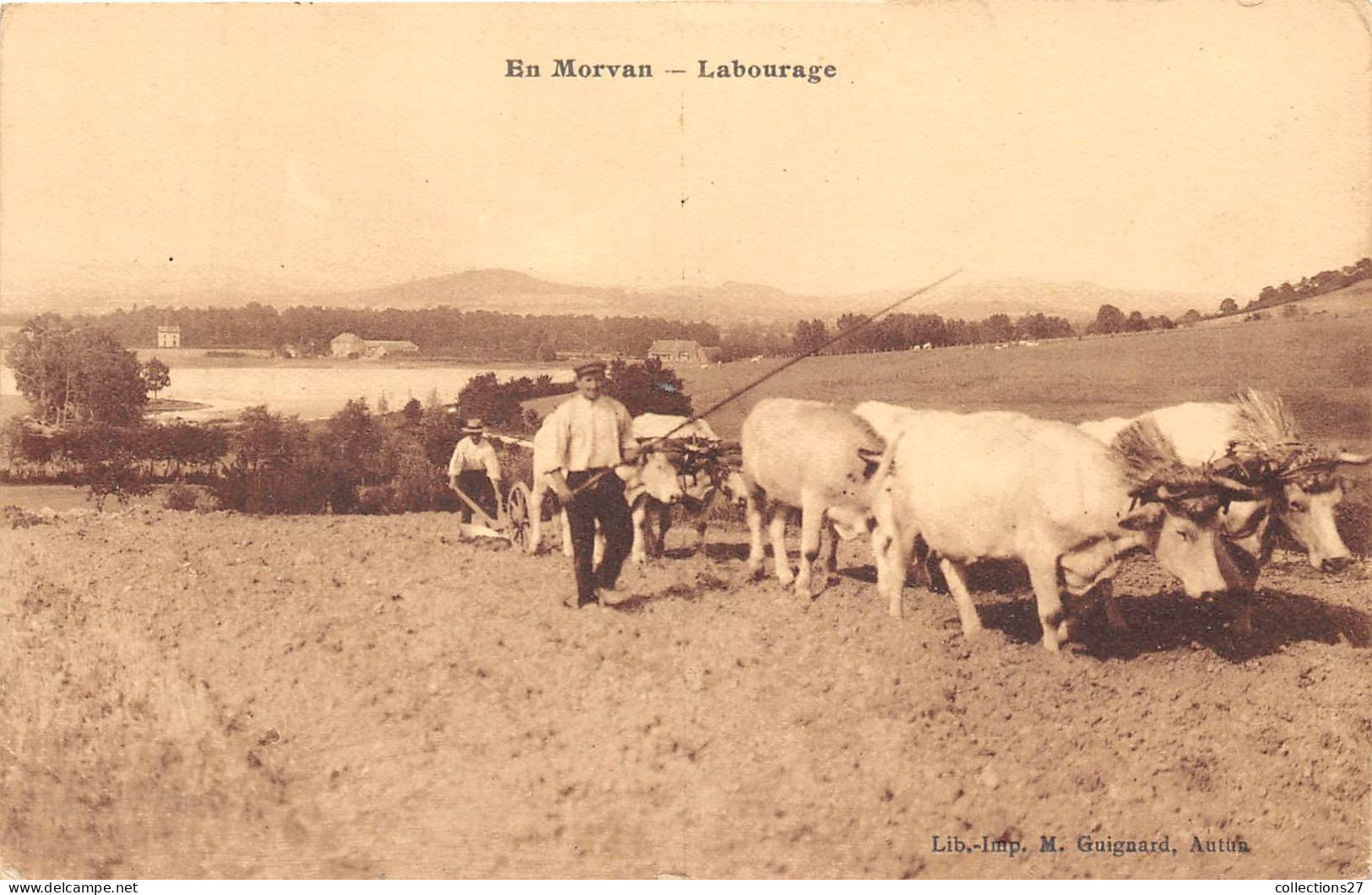 EN MORVAN- LABOURAGE - Cultivation