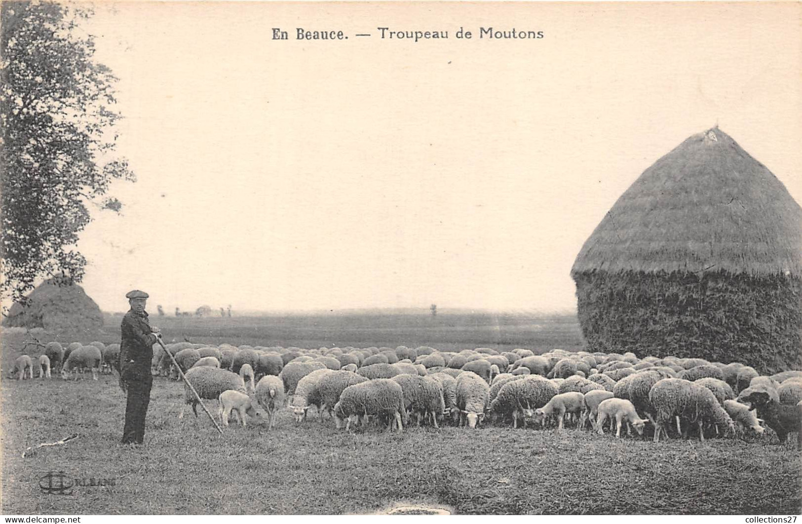 EN BEAUCE- TROUPEAU DE MOUTON - Elevage