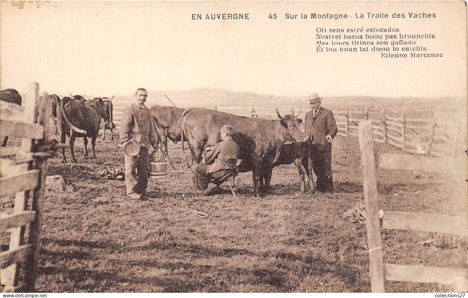 EN AUVERGNE- SUR LA MONTAGNE - LA TRAITE DES VACHES - Allevamenti