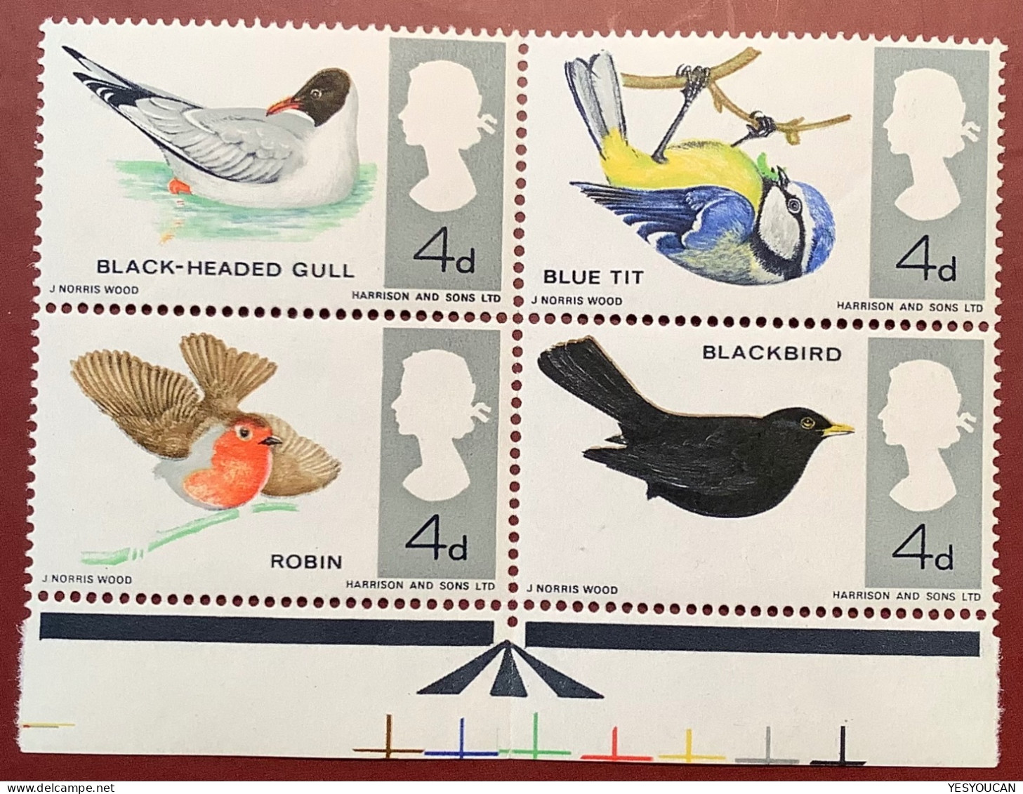 GB 1966 British Birds RARE VARIETY MISSING COLOUR On Robin & Blackbird SG 696-699 MNH** (Oiseaux Rouge-gorge Merle Noir - Ongebruikt