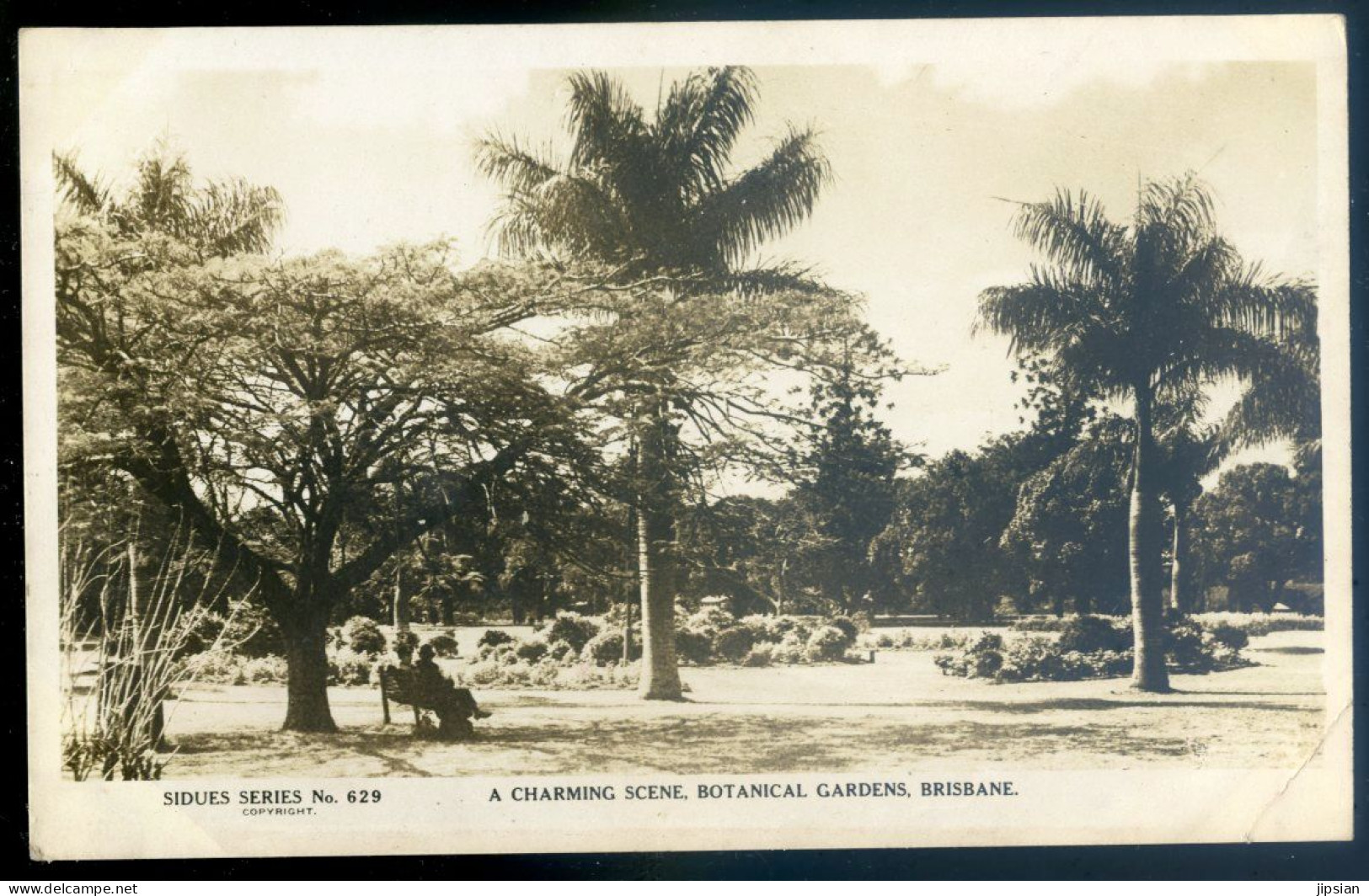 Cpa Australie , Brisbane , Botanical Gardens , A Charming Scene     JUI23-21 - Brisbane