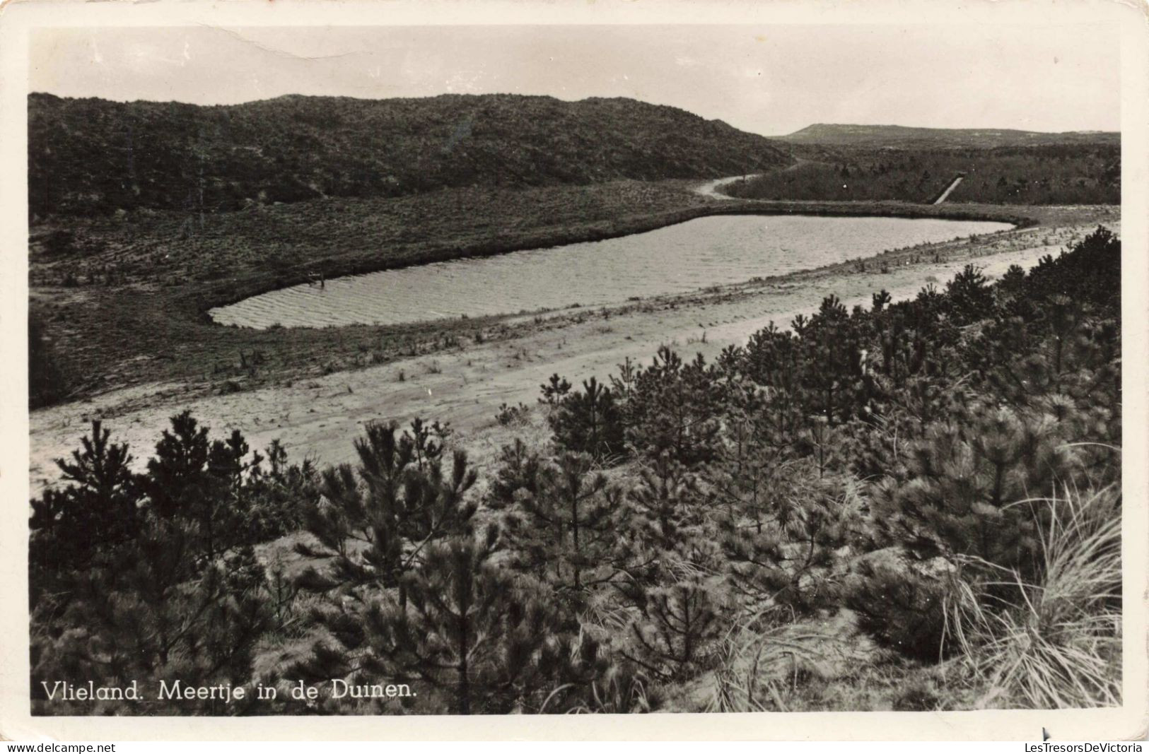 PAS BAS - Vlieland - Meertje In De Duinen - Carte Postale Ancienne - Vlieland