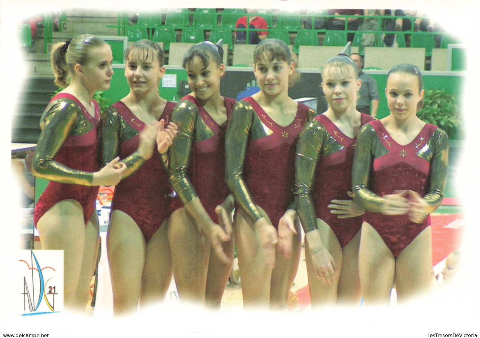 PHOTOGRAPHIE - Alliance Dijon Gym 21 - Palais Jean Michel Geoffroy - Colorisé - Carte Postale - Fotografia