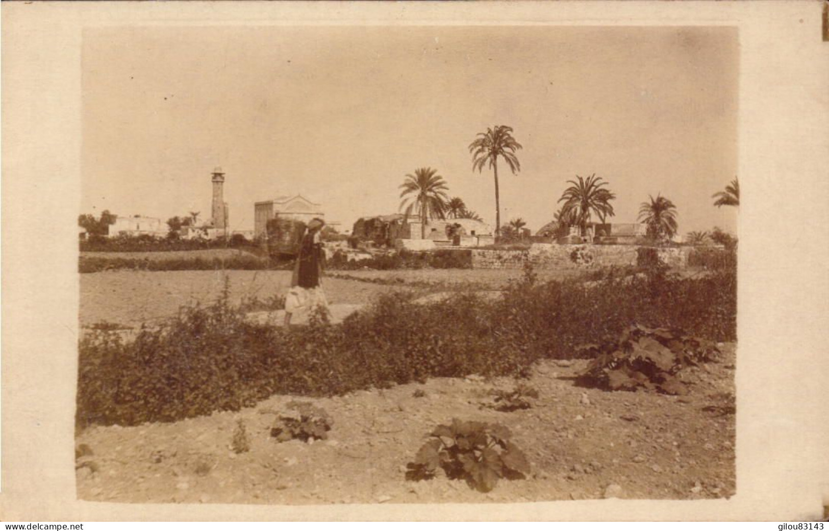 Palestine, Ramleh, Ramla, Vue Generale  (carte Photo) - Palestine