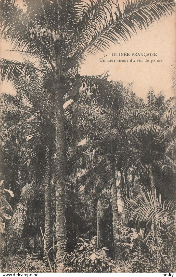 Guinée Française CPA Un Noir Tirant Du Vin De Palme - Guinée Française