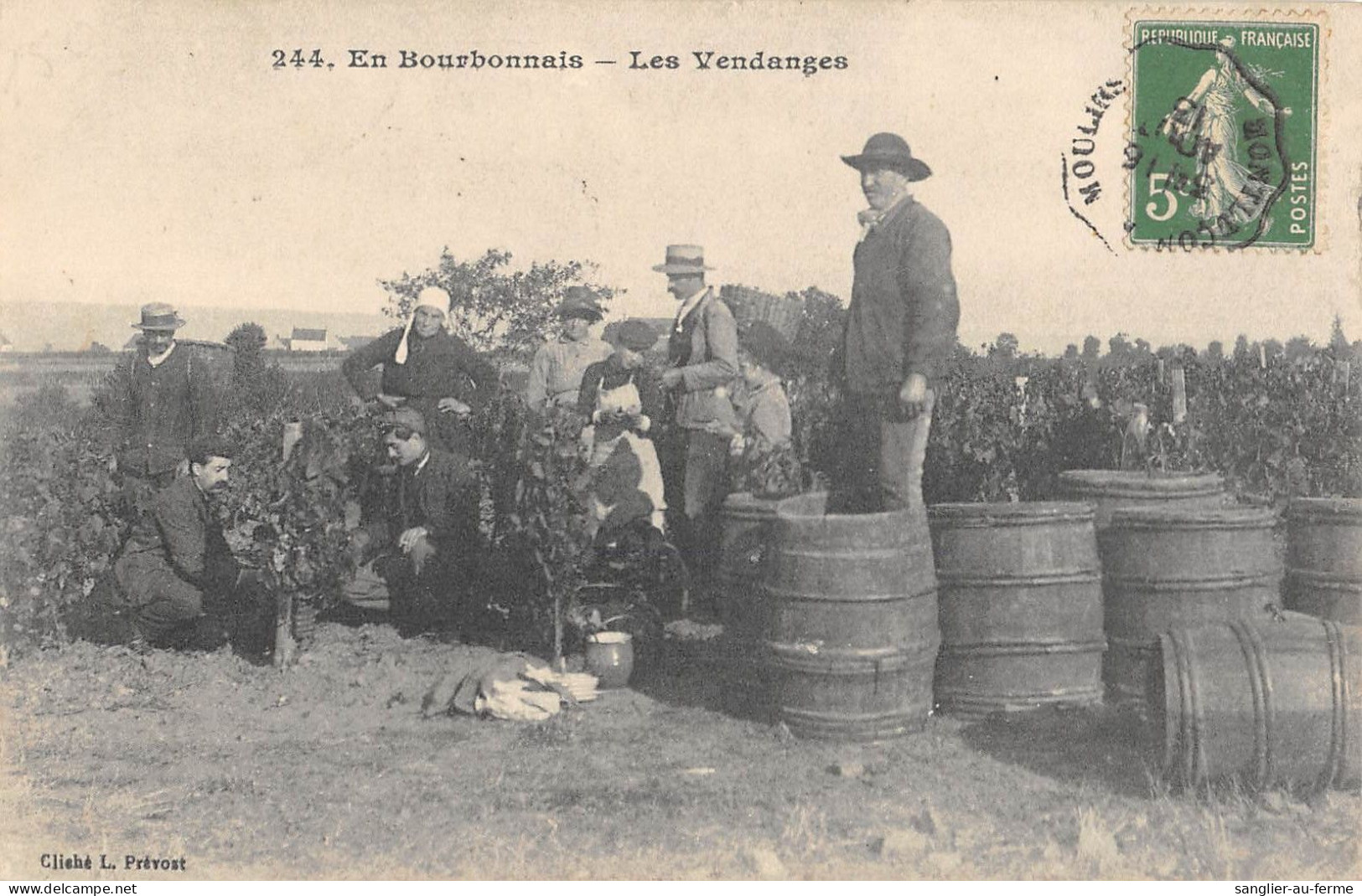 CPA 03 EN BOURBONNAIS / LES VENDANGES - Sonstige & Ohne Zuordnung