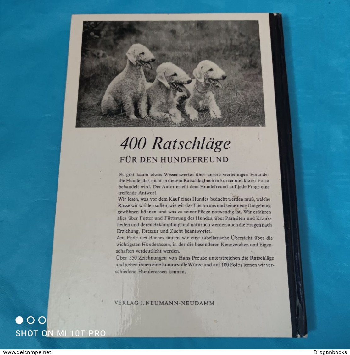 Manfred Koch Kostersitz - 400 Ratschläge Für Den Hundefreund - Animaux