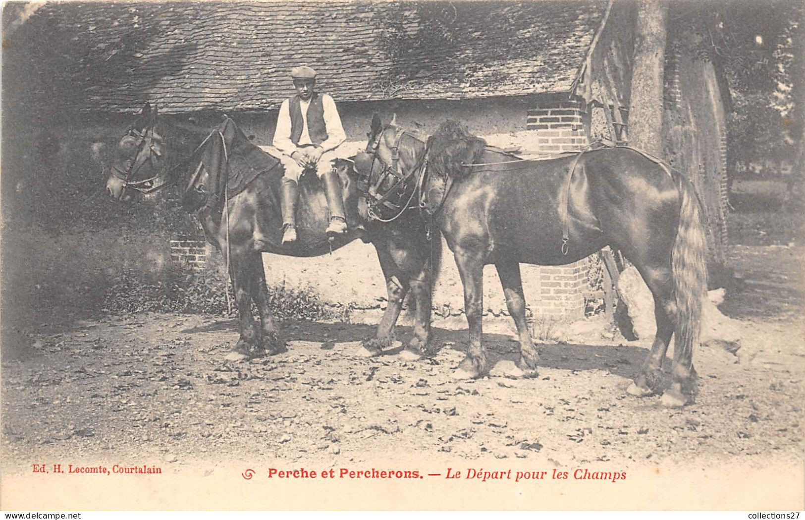 PERCHE ET PERCHERONS- LE DEPART POUR LES CHAMPS - Elevage