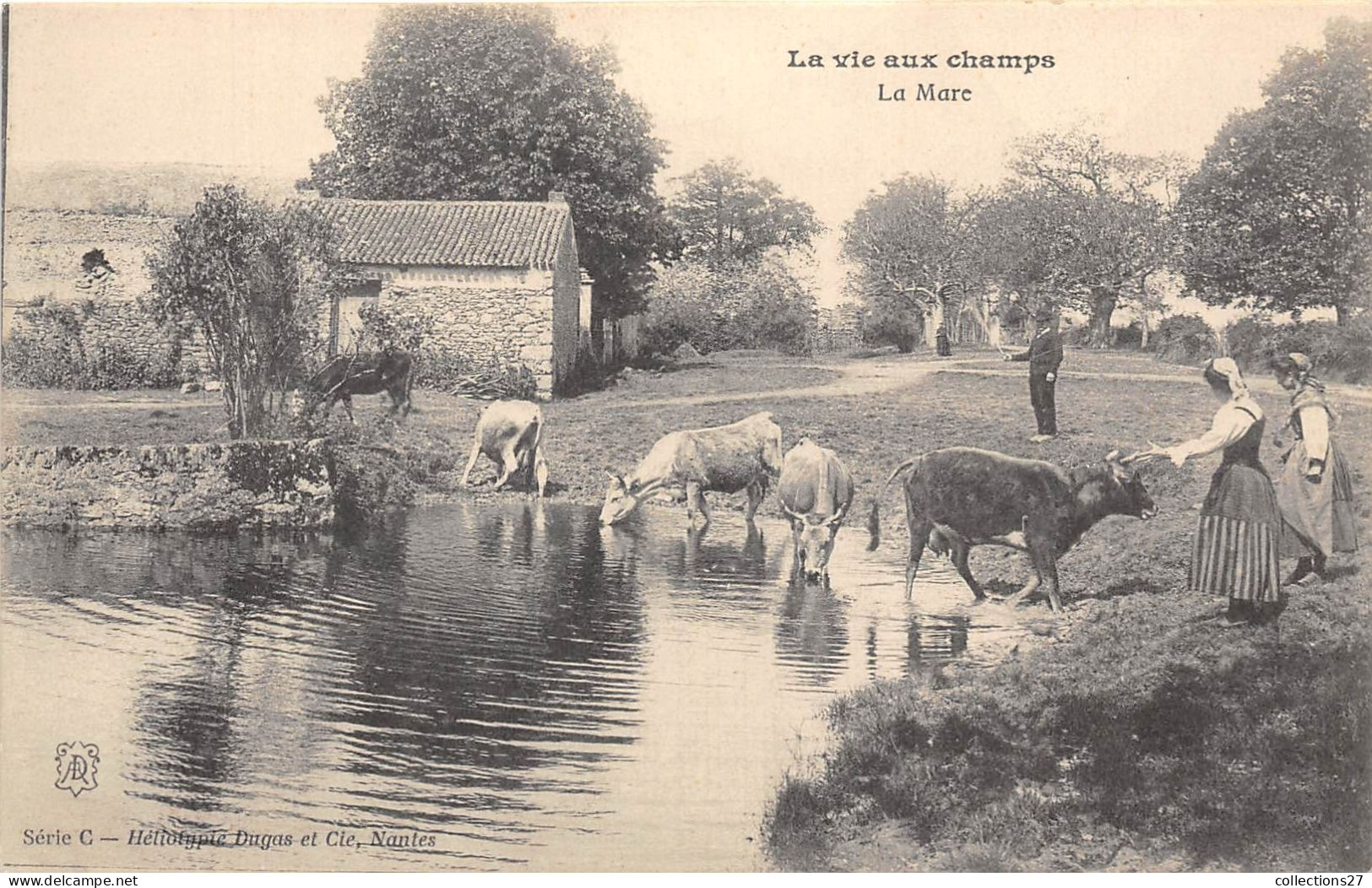 LA VIE AUX CHAMPS - LA MARE - Fermes