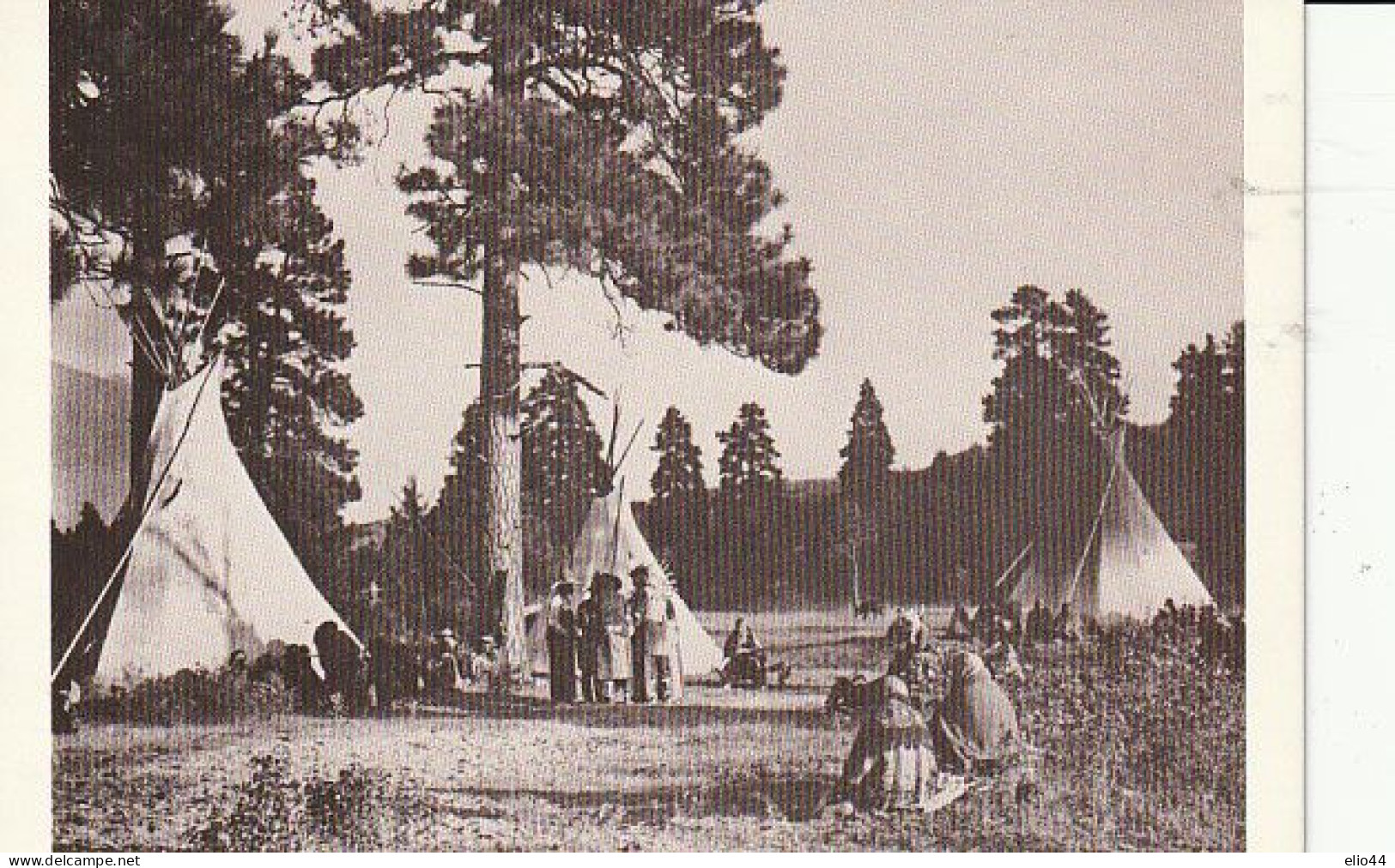 Stati Uniti - Tematica  Indiani - Flathead Camp - - Altri & Non Classificati