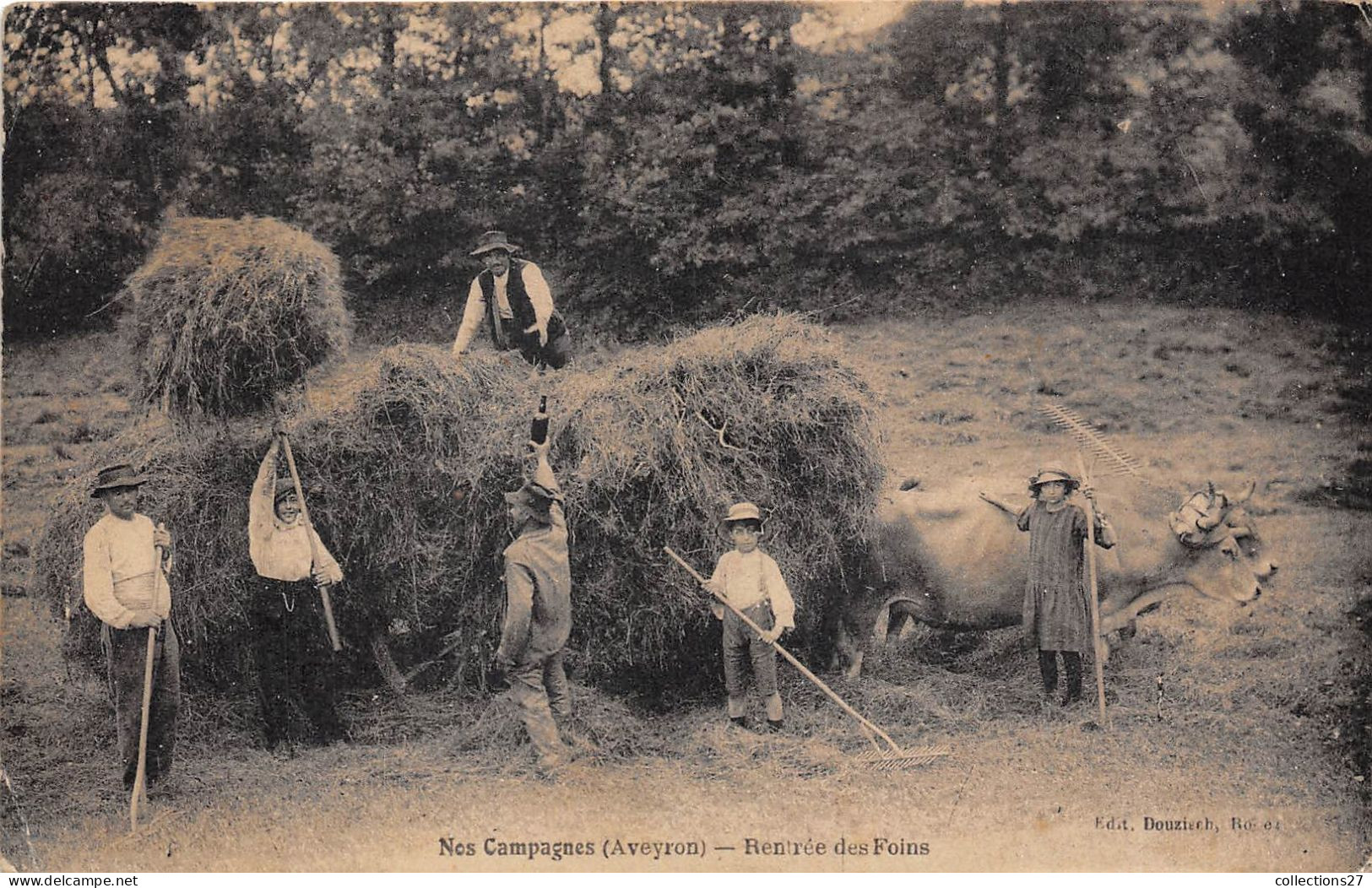 NOS CAMPAGNES- AVEYRON- RENTREE DES FOINS - Cultures