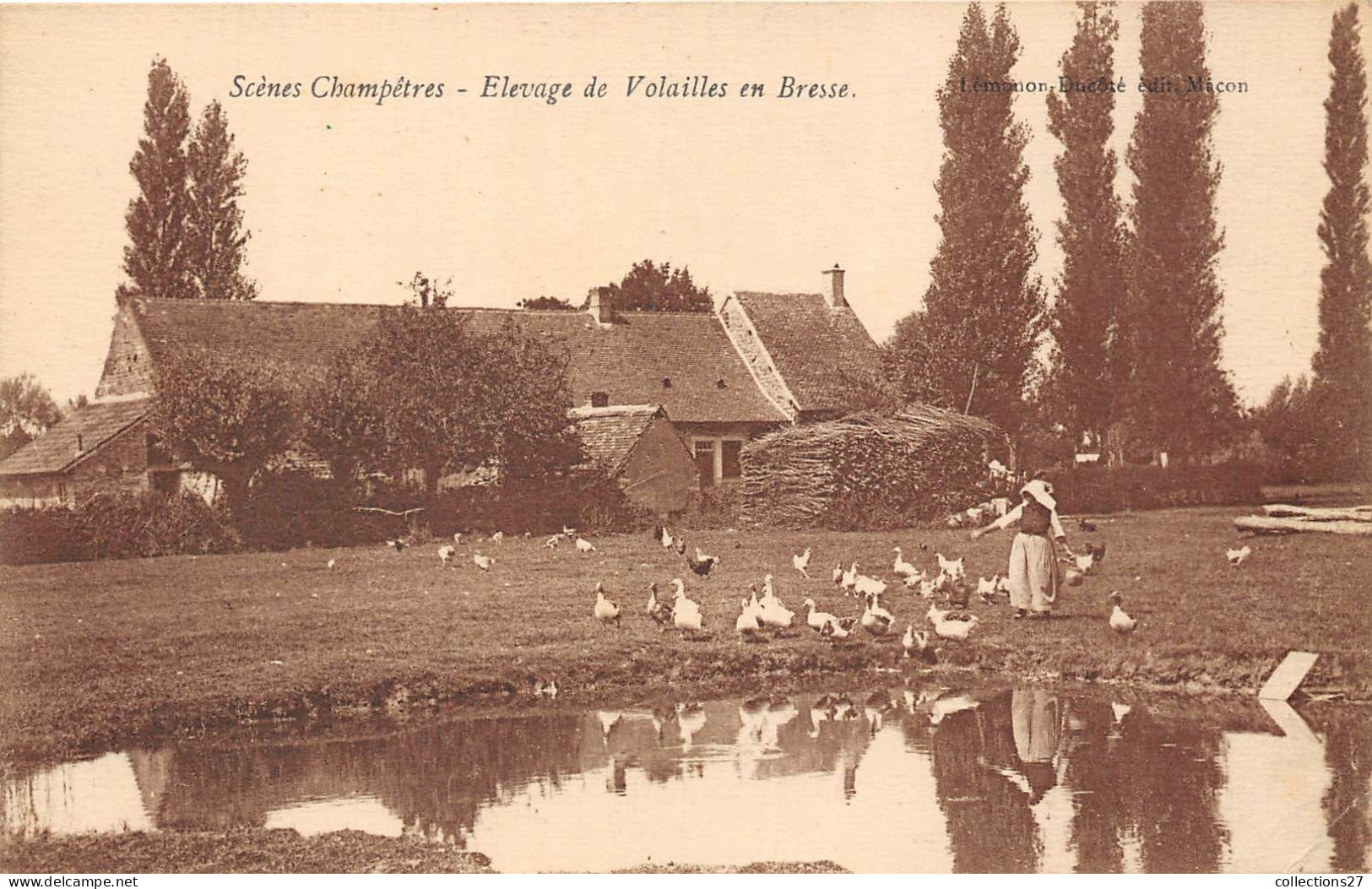 SCENES CHAMPÊTRE- ELEVAGE DE VOLAILLES EN BRESSE - Viehzucht