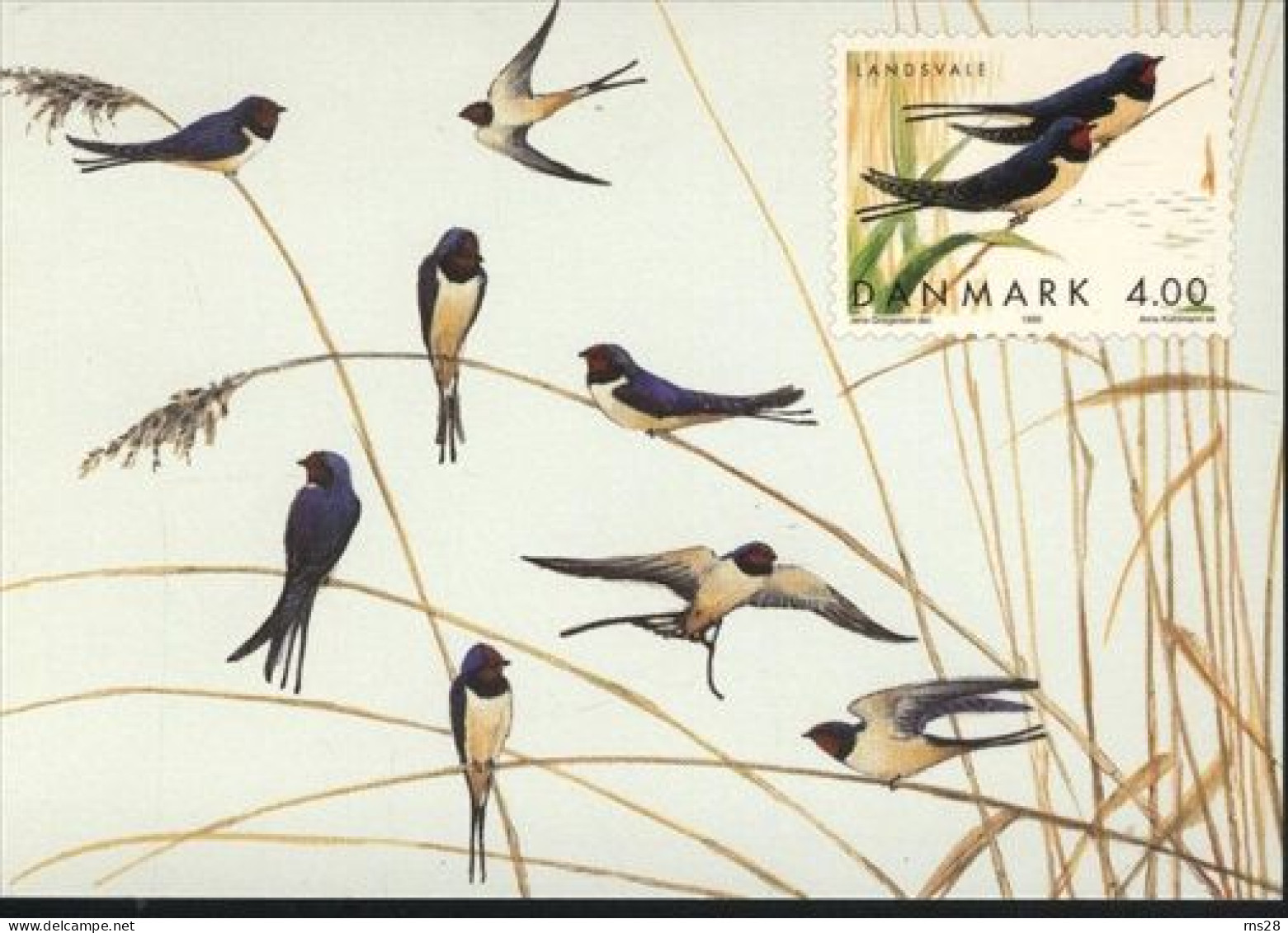 Denmark Maxicard  Sc 1163 Bird - Storia Postale