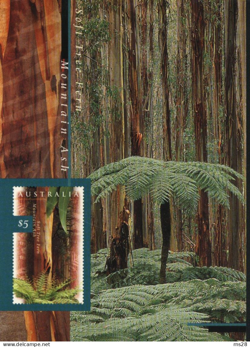 Australia MaxiCard Sc 1534 Trees - Storia Postale