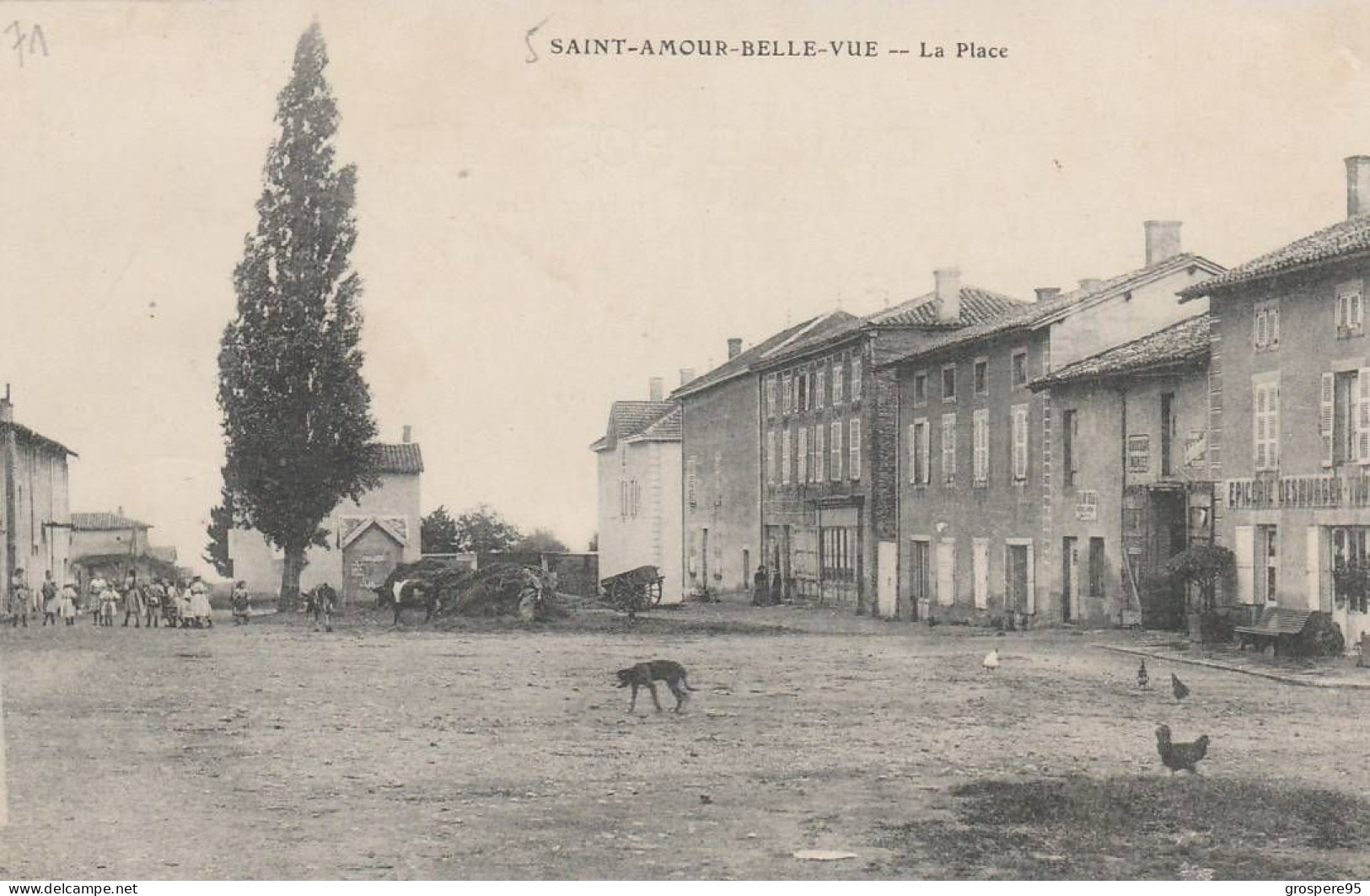 SAINT AMOUR BELLE VUE LA PLACE - Autres & Non Classés