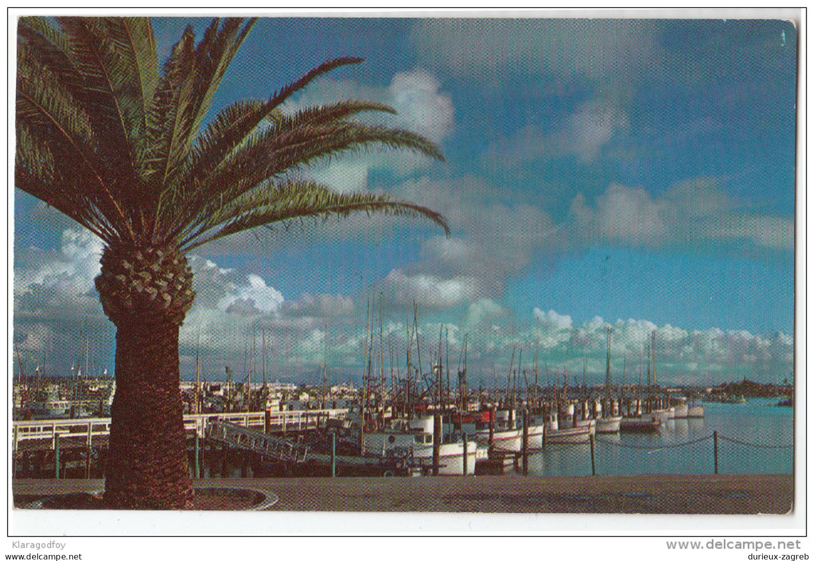 San Diego - Fishing Pier - Old Postcard Without Stamp Travelled 1962 Bb160204 - San Diego