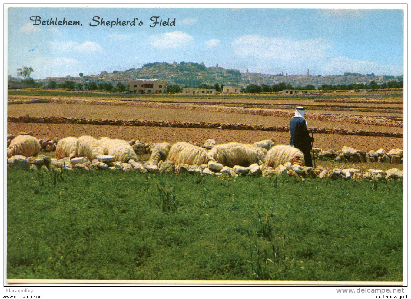 Bethlehem - Shepherd's Field Unused Postcard Bb151106 - Palestine