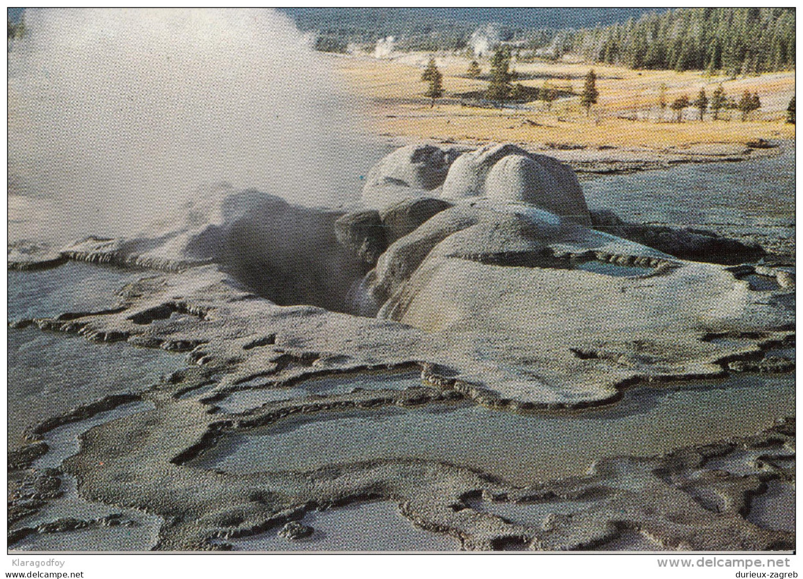 Old Faithful Cone Old Postcard Travelled 1985 Bb151030 - Yellowstone