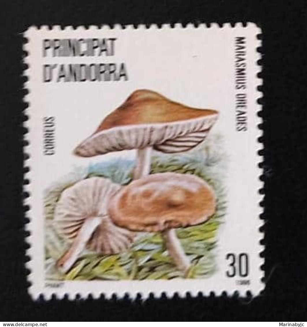 SD)ANDORRA. FUNGUS. TYPES OF FUNGI. MNH - Colecciones