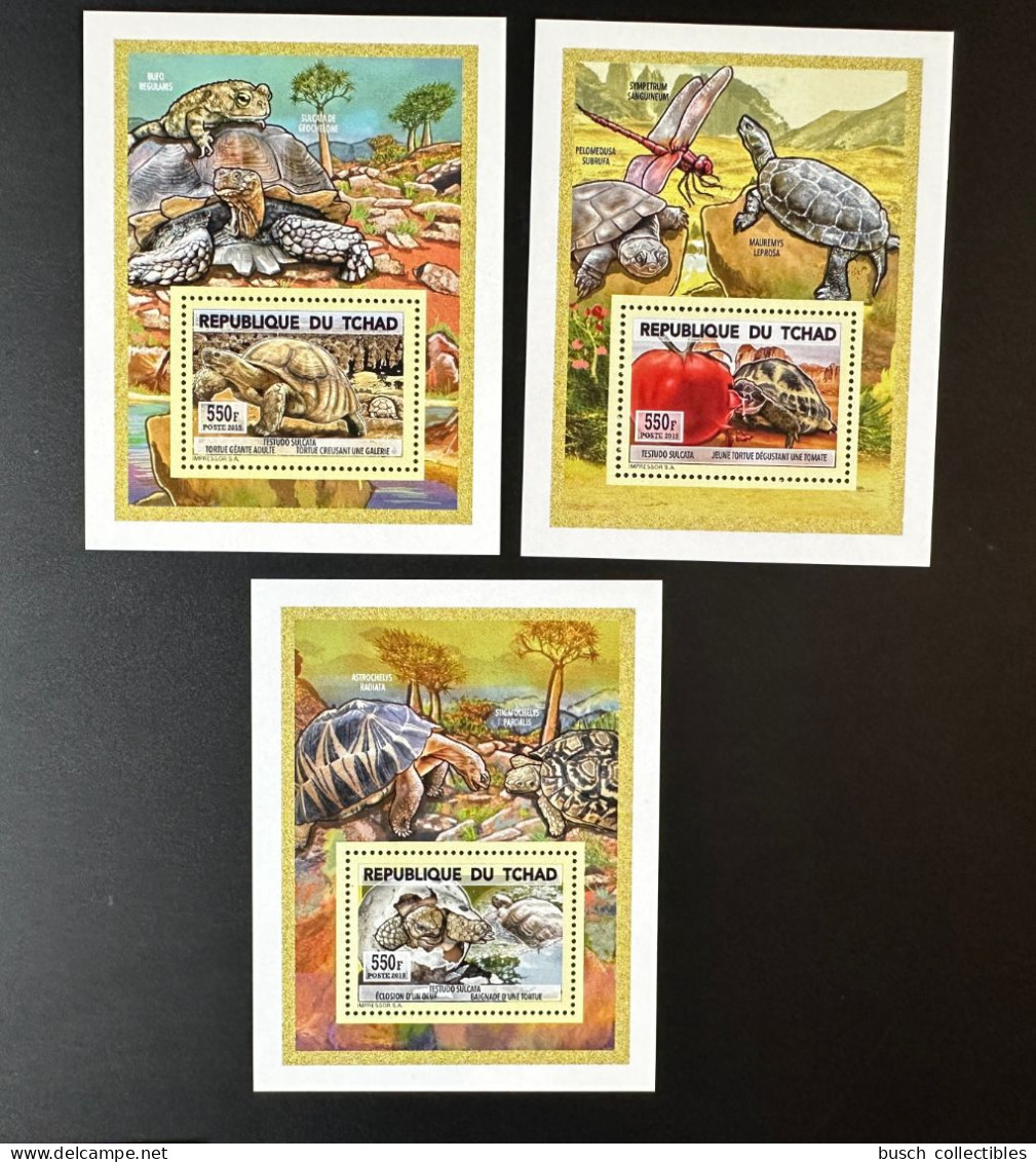 Tchad Chad 2015 Mi. 2730 - 2732 Blocs Blocks S/S Tortue Turtle Schildkröte Testudo Sulcata Reptile Reptilien - Tchad (1960-...)